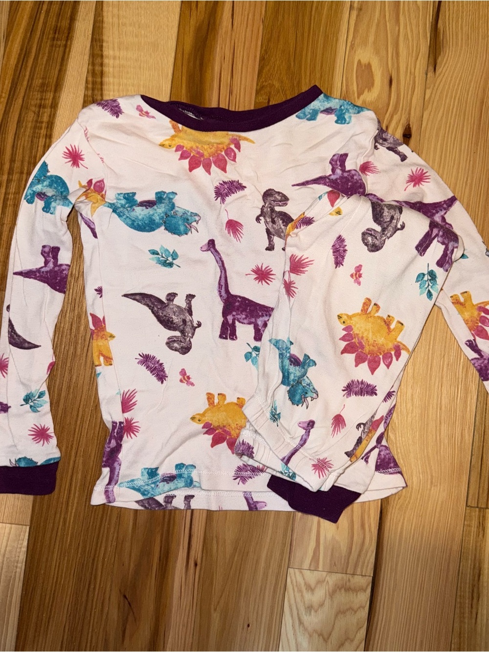 Burt’s Bees 2 pc long sleeve shirt and pants size 4T